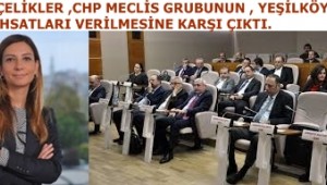 CHP GRUBU ,YEŞİLKÖY"DE YENİ İÇKİLİ YERLERE OLUR DEDİ