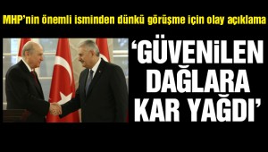 Başkanlık anlaşmasına MHP'li vekilden tepki: Çok kişinin güvendiği dağlara kar yağdı