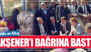 MERAL AKŞENER,MHP SEÇMENİNİN YÜZDE 80'İ HAYIR OYU VERECEK