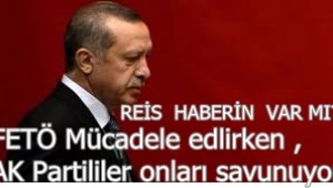REİS HABERİN VAR MI?