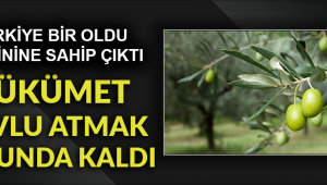 AKP'den zeytinlik konusunda geri adım