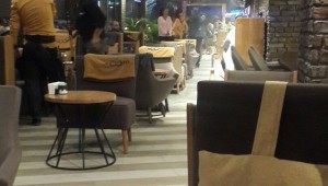 BAKIRKÖY 'DE KAÇAĞIN ADI ECRİMİSİL OLMUŞ