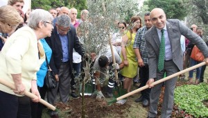 BAKIRKÖY'DE ZEYTİNLİK DİRENİŞİ