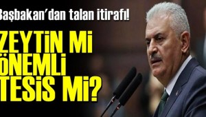 ZEYTİN TALANINI BÖYLE SAVUNDU!