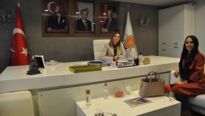 Çelikler: "Yıkımlar etik bir şekilde yapılmıyor"