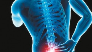 Felç tedavisinde kök hücre umudu