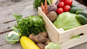 Sonbahar ve kış aylarının süper besinleri