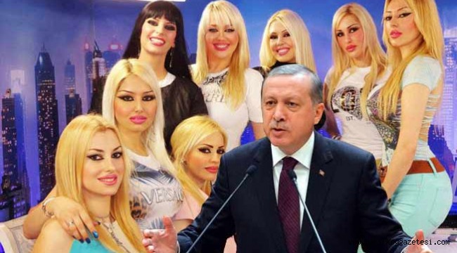 'Kedicikler'in arşivinden Cumhurbaşkanı Erdoğan çıktı
