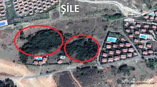 TOKİ Orman'ı kesip, toplu villa yapacak!
