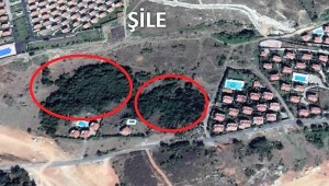 TOKİ Orman'ı kesip, toplu villa yapacak!