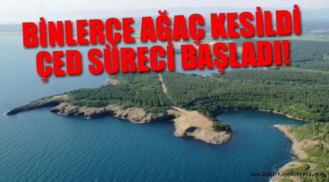 Türkiye'nin 'keşfedilmemiş cennetine' nükleer santral yapılıyor
