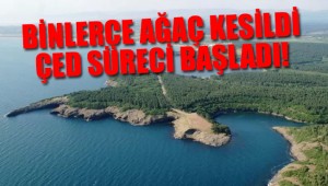 Türkiye'nin 'keşfedilmemiş cennetine' nükleer santral yapılıyor