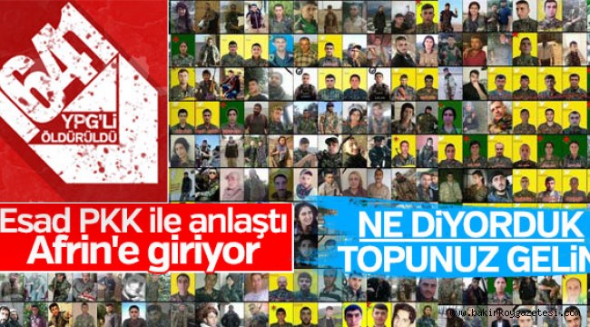 Esad YPG'ye destek verecek