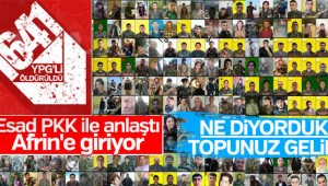 Esad YPG'ye destek verecek