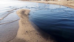 Sahili karardı: Fabrikalarda inceleme başlatıldı!