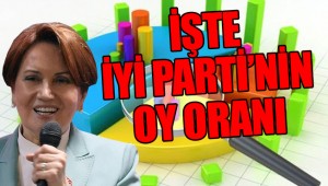 Meral Akşener'den anket açıklaması