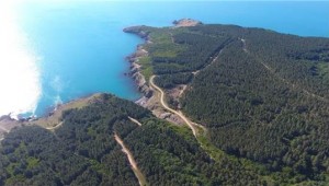 Sinop'ta nükleer santral için 1415 futbol sahası büyüklüğünde alan tahsis edildi