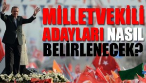 AKP'de ön seçim yok