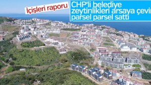 CHP'li Belediye zeytinlikleri arsaya dönüştürdü
