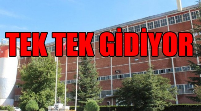 İki göz bebeğimiz daha bugün satılacak!