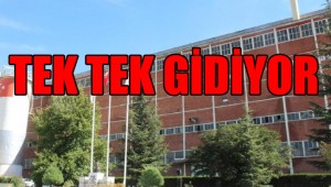 İki göz bebeğimiz daha bugün satılacak!