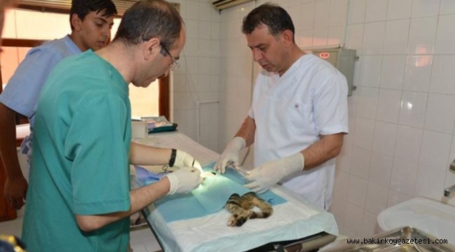 MEB'in ilk hayvan hastanesi sessiz sedasız kapatıldı
