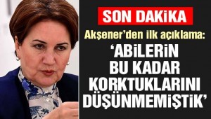 Meral Akşener'den erken seçim için ilk açıklama
