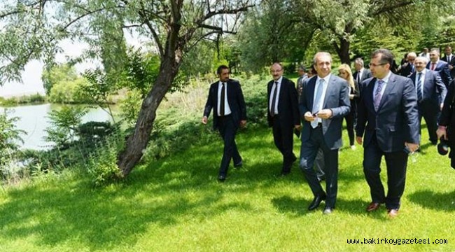 Milli Botanik Bahçesinde yüzlerce ağaç kesildi! İmara mı açılacak?