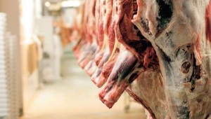 Resmen yayımlandı: Domuz ve eşek eti ithal ediyoruz....