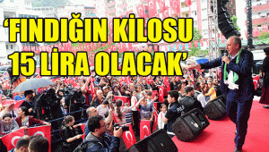 Cumhurbaşkanı adayı İnce: Atatürk'ün yaptıklarını satıyorsun