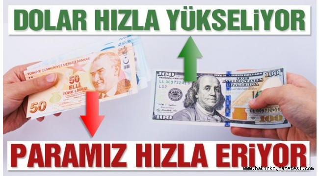 DOLARDA TARİHİ ZİRVE