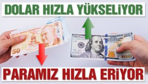 DOLARDA TARİHİ ZİRVE
