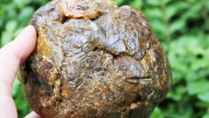 Kanser hastalarının yeni umudu