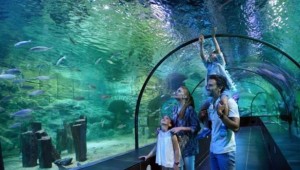 RANT İÇİN KENTE VE HAYVANA İŞKENCE