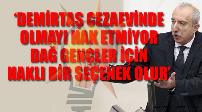 AKP vekilden partisine 'aykırı' çıkış