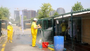 Bakırköy Belediyesi Hayvan Barınağı Profesyonel Ekiplerce Temizlendi