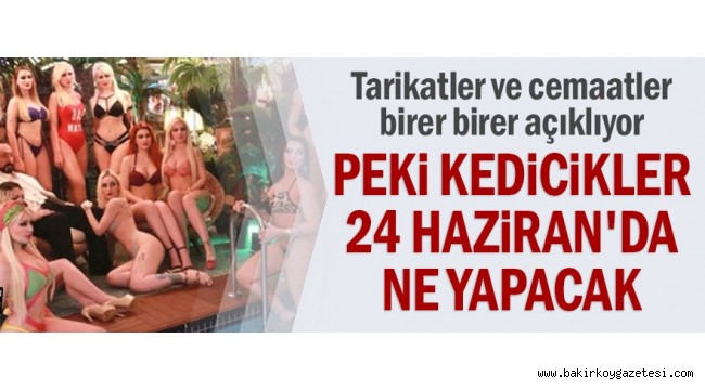 Peki kedicikler 24 Haziran'da ne yapacak