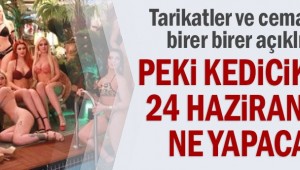 Peki kedicikler 24 Haziran'da ne yapacak