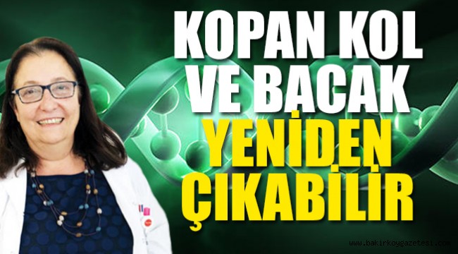 Türk bilim kadınının büyük başarısı; kanser için umut oldu