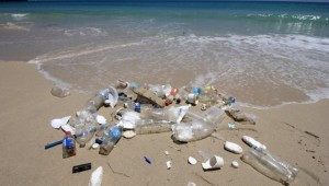 Türkiye'de günde 144 ton plastik atık denize karışıyor!