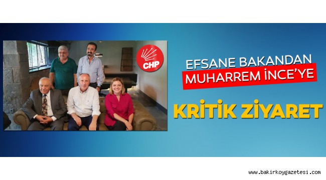 Eski bakan Seyfi Oktay'dan İnce'ye destek ziyareti!