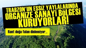 Fıkra Değil Gerçek! Doğa Harikasına Sanayi Bölgesi...