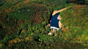 İstanbul'a dev kent ormanı kuruluyor, işte ilk görüntüler
