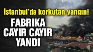 VELİEFENDİ 'DE KORKUTAN YANGIN