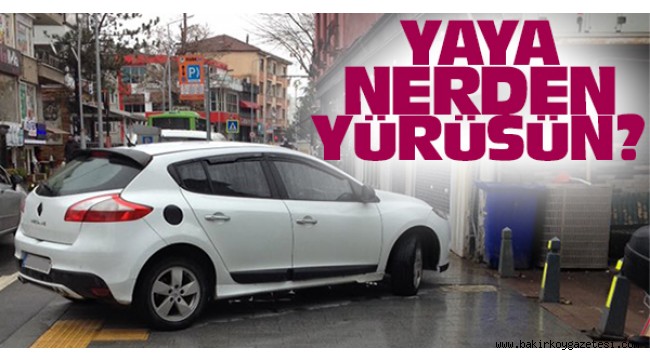 YEŞİLKÖY'DE NELER OLUYOR?