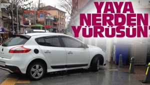 YEŞİLKÖY'DE NELER OLUYOR?