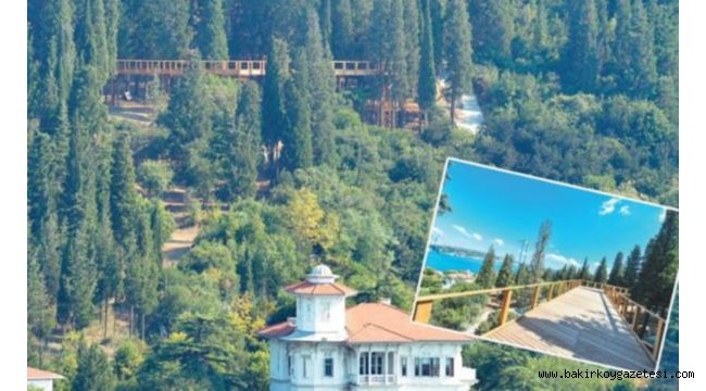 Boğaz'ın 'çivi bile çakılamaz' alanına teras kondu