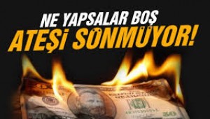 DÖVİZDE TARİHİ REKOR