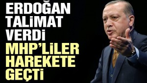 Erdoğan talimat verdi, MHP'liler harekete geçti