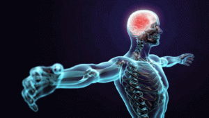 İnsan bedeninin bilinmeyen gerçekleri